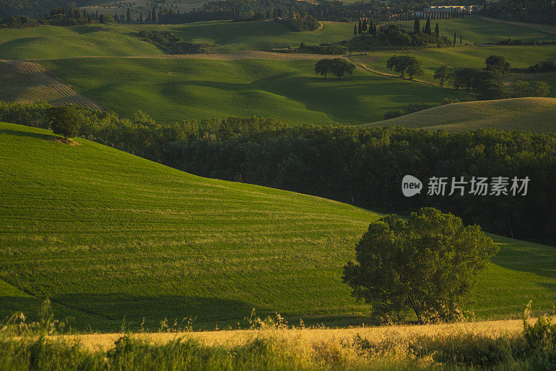 在意大利，欧洲，托斯卡纳的风景在日落时间附近的卡佩拉della Madonna di Vitaleta。